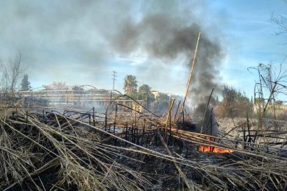 Les flames amenacen la botiga de jardineria.