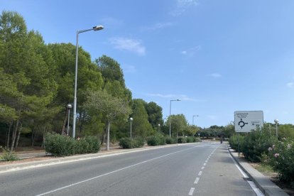 Imatge de l'avinguda Pla de Maset de Salou.