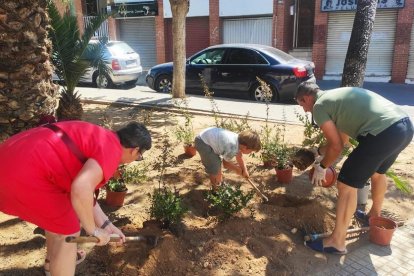 Imatge de la plantada col·laborativa a la plaça d'Abat Oliva de Sant Salvador l'11 de juny.