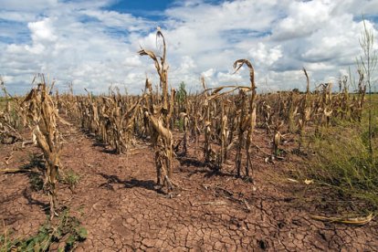 La seuqera és un dels factors que intervé en la desertització del territori.