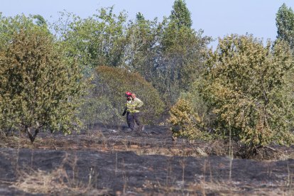 Fa pocs dies el solar a tocar d'Activa Mutua patia un incendi.