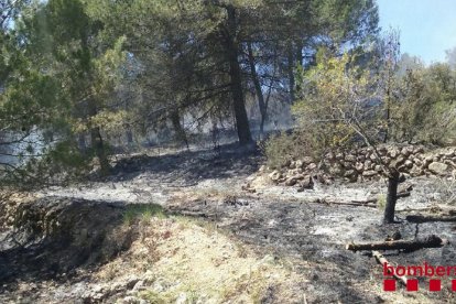 cornudella incendi