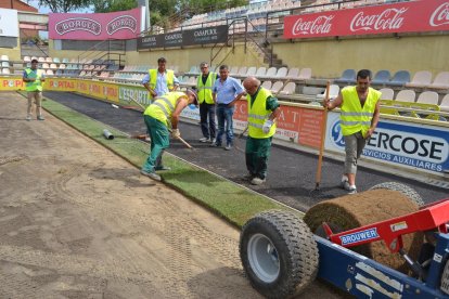 Un miler de rotlles de gespa portada de l'Ebre ja s'instal·len a l'Estadi