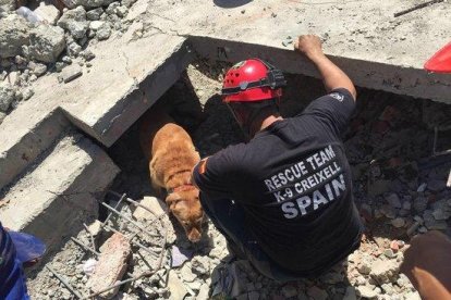 Imagen de la unidad de rescate canino K-9 de Creixell actuando en el Ecuador en un edificio hundido por el terremoto que sacudió el país el 17 de abril de 2016