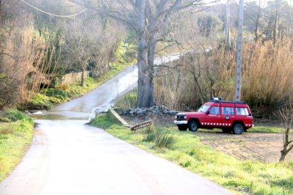 Imatge d'arxiu d'un camió dels bombers treballant en una zona forestal.