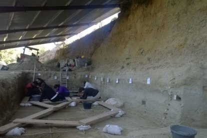 Las excavaciones de la Boella descubren nuevos restos de hipopótamo