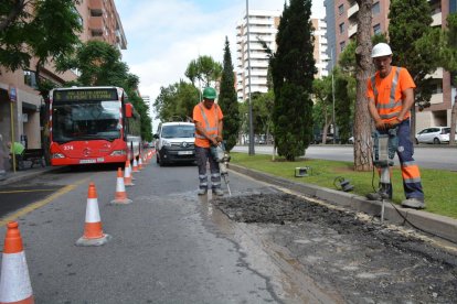 Imagen de las actuaciones que se están realizando en el lateral de la avenida Roma este jueves 8 de junio.