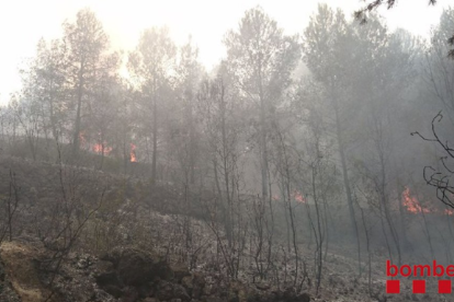 Los Bombers han dado el fuego por controlado poco después de las seis de la tarde.