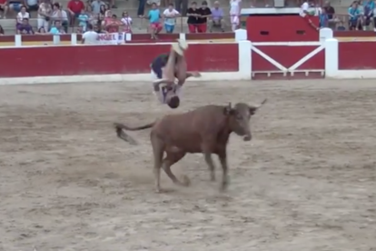 Azael Zafra, finalista del primer concurs d'Amposta, és un dels competidors de la nova edició del torneig. A la imatge, saltant per sobre d'un brau.