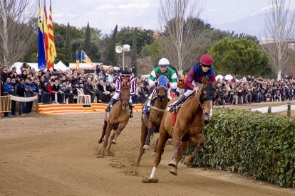 Las carreras de caballos y los conciertos, platos fuertes de las fiestas de Sant Antoni