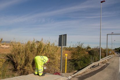 Uno de los trabajadores comprueba cuál es el estado de la instalación cerca de la carretera de Bellissens.