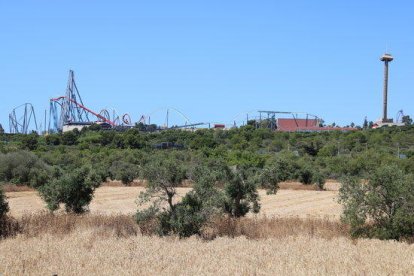 Campos agrícolas donde está previsto el Centro Recreativo y Turístico (CRT) de Vila-seca y Salou y, en el fondo, montañas rusas del parque de atracciones PortAventura.