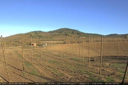 Webcam de Prades Closos