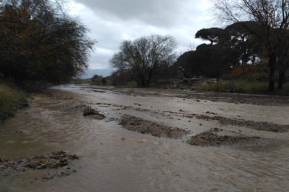 Una cantidad importante de agua baja por la riera de Maspujols en su paso por Riudoms.