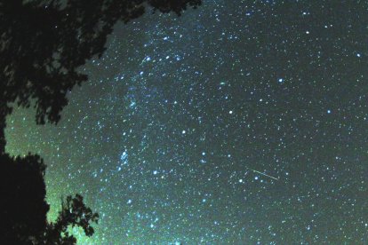 PEr poder llegar a verlas , hace falta aclimatar la vista a la oscuridad un rato antes.