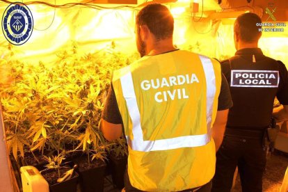 Una parte de la vivienda se había habilitado por la plantación de la marihuana.