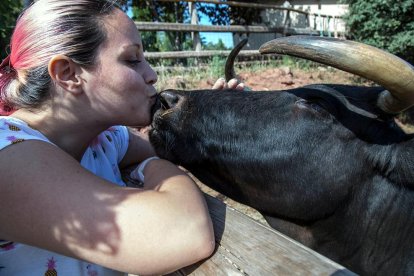 Anna Sánchez, coordinadora de premsa del Hogar Animal Sanctuary, fent un petó a la vaca Margarita.