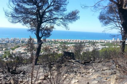 El incendio de Calafell habría quemado la Torre de la Talaia