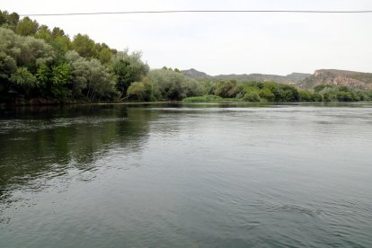 Pla general de la zona del marge esquerre del riu Ebre, al terme municipal de Miravet.