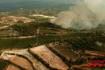 El incendio causó una visible columna de humo.