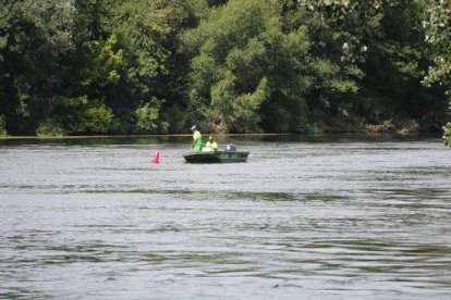 Dos operarios de mantenimiento del servicio para la navegabilidad del Ebro trabajando cerca de la zona del río donde se ha detectado caracol manzana, en Miravet.