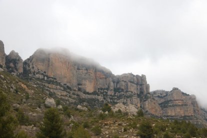 El Montsant als peus de la Morera de Montsant, al Priorat.