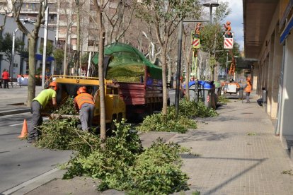 Imatge d'operaris realitzant els treballs de poda al passeig Sunyer.