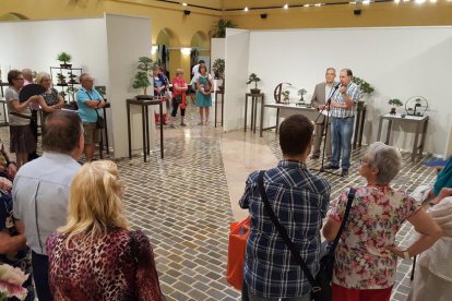 El mundo de los bonsais llena un año más el Patio del Palacio de la Diputación