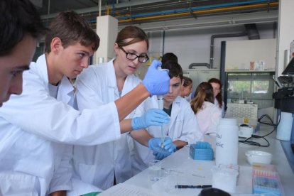 Els cursos de biotecnologia són els d'accés més complicat de la URV.