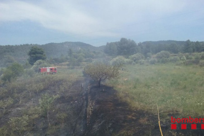 Un incendio quema 0,9 hectáreas en El Pinell de Brai