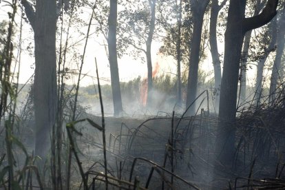 Controlado el incendio de Sant Salvador