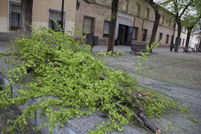 Diverses comarques de la província de Toledo es troben en alerta groga davant el risc de fortes ratxes de vent.