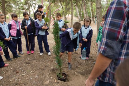 Imatge d'arxiu d'una plantada d'arbres escolar.