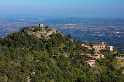 El Castell de l'Albiol vist des de l'aire.