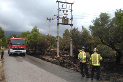 Cremen 1.000 m2 de vegetació a l'N-340 a l'Hospitalet de l'Infant