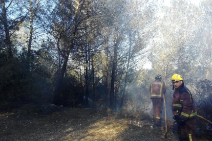 Efectius del cos de bombers apagant el foc, aquest dimecres al matí.