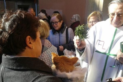 Després de la missa, els presents van sortir a la plaça per beneir els seus gossos.