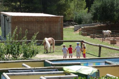 Els assistents podran conèixer els animals de la Granja-Escola Corral de Neri i realitzar diverses activitats.