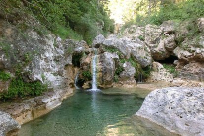 La dóna, de 43 anys, va patir una fractura de turmell quan feia una excursió pel camí dels Gorgs de la Febró.