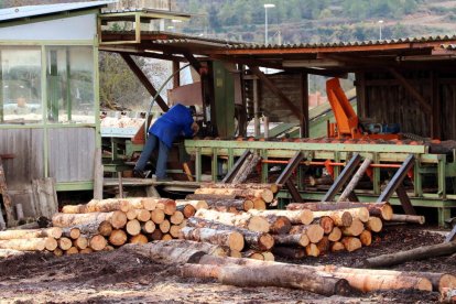 La Serradora Fontova, situada a Cabra del Camp, i un operari treballant-hi a l'exterior, entre troncs apilats.