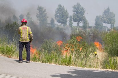 Dues dotacions dels Bombers apagant les flames.