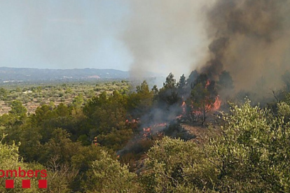 Imatge del foc, ubicat muntanya amunt a prop del quilòmetre 28 de la carretera C-12.