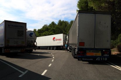 Camiones estacionados en una de las áreas de descanso al AP-7 próximas a Altafulla.