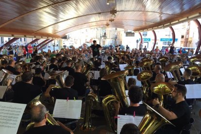 Músics vinguts d'arreu de Catalunya van interpretar junts un concert.