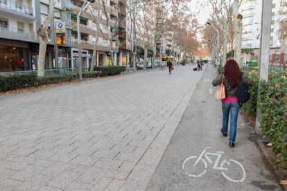 L'Ajuntament va aprovar tres nous projectes el 7 de desembre.