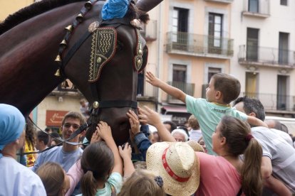 Els més petits gaudeixen de la presència dels bestiari popular al Seguici.