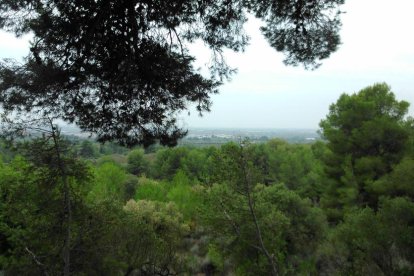 La natura provoca certs canvis fisiològics i mentals que són positius per la nostra salut.