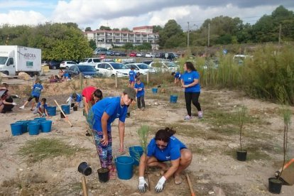 Los voluntarios han trabajado durante toda la mañana de domingo.