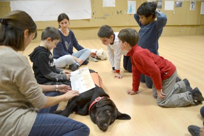 La lectura amb els gossos ajuda els nens.