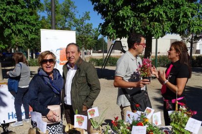 Las tiendas pusieron paradas de plantas y flores en la calle.